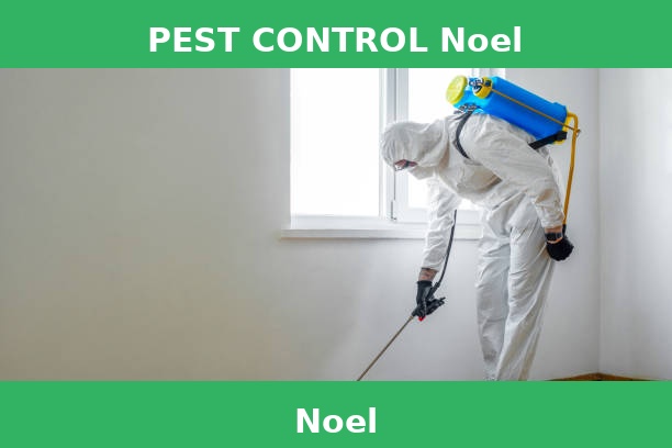 PEST CONTROL Noel